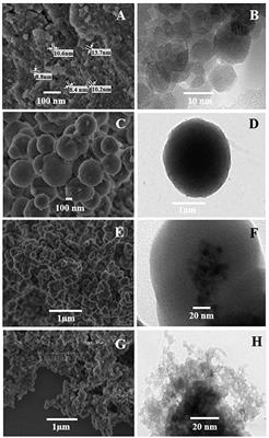 Development of a New Electrochemical Sensor Based on Mag-MIP Selective Toward Amoxicillin in Different Samples